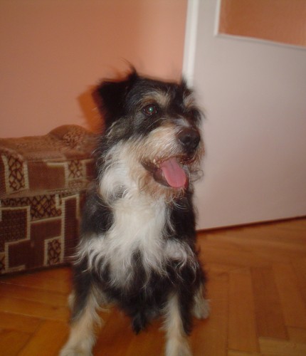 Psinka=]