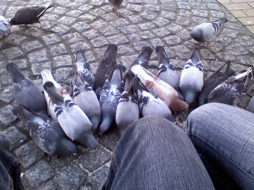   Wrbelki :)