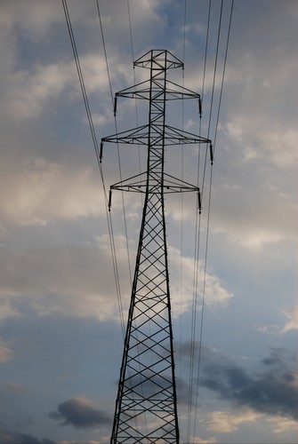 202