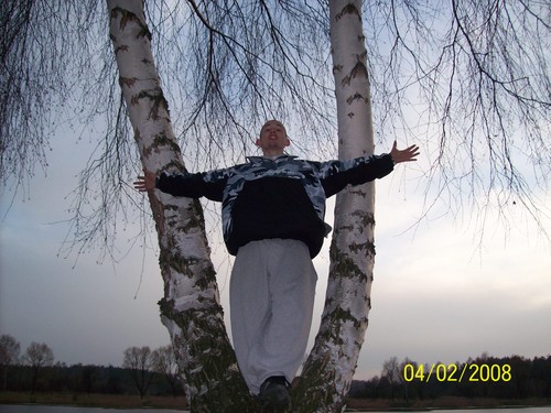 It  Was  On the Tree