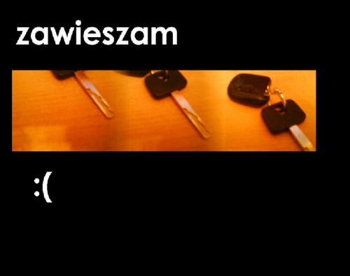 Wpis orzech95
