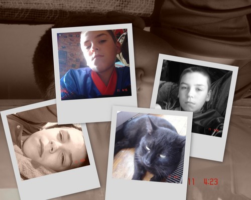 Wpis andrew13