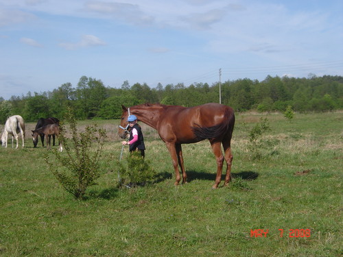 Rudooonosa