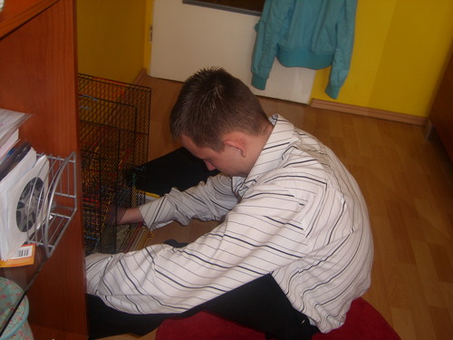 Wpis makosz15