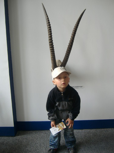 NIE PACZ KOZIOKU
