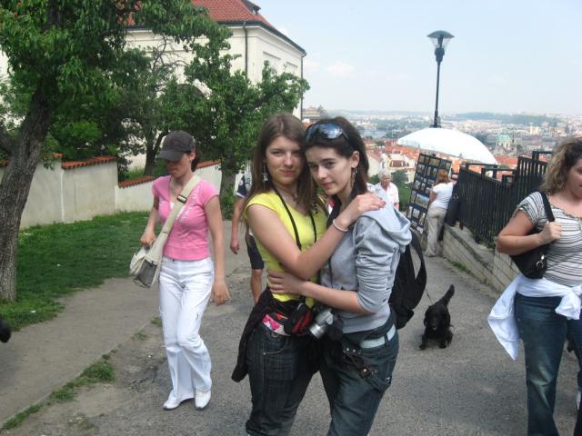 Wpis wiwciowatworczosc