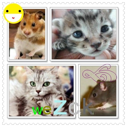 zwierzakiQQQQQQ