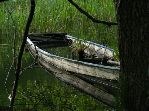kategoria: rzeka