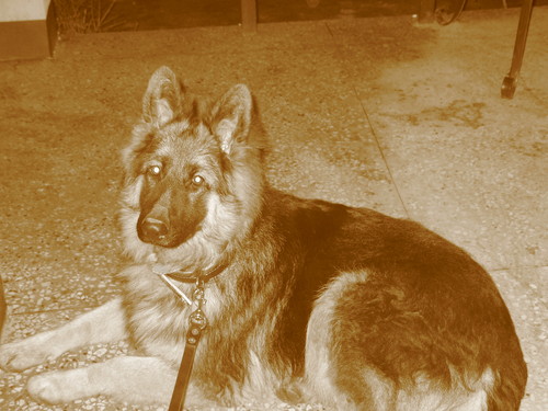 My Love.. 
