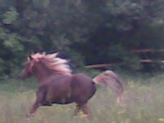 My love..