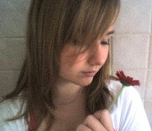 Wpis bricia
