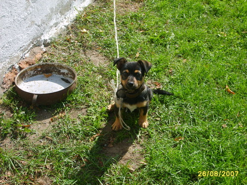 Kajtulek :*