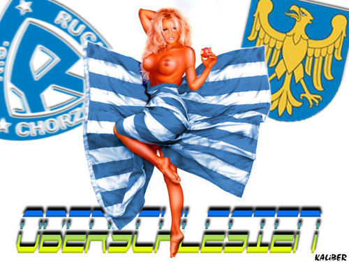 Wpis luki095