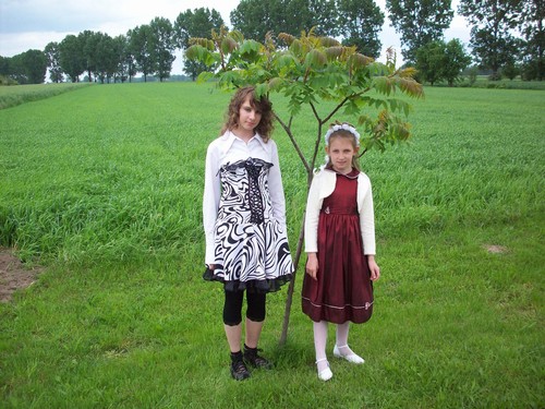 Wpis bonsujdzifko