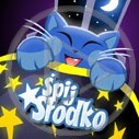 kotek