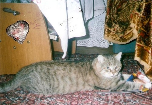 Kuki