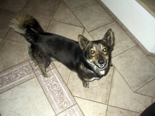 Wpis oliweczka1998