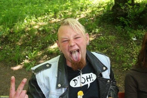 Bobek