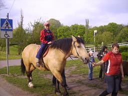 Konik w Inowrocawiu