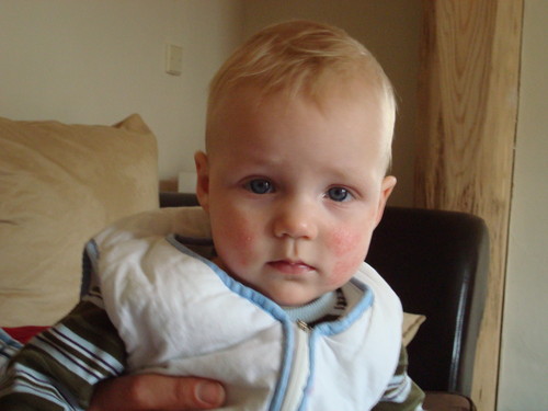 mmm...what a handsome one...Noas