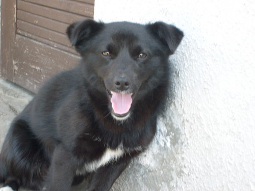 Wpis martynuska98