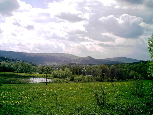 Dolina Jasioki - Trzciana 