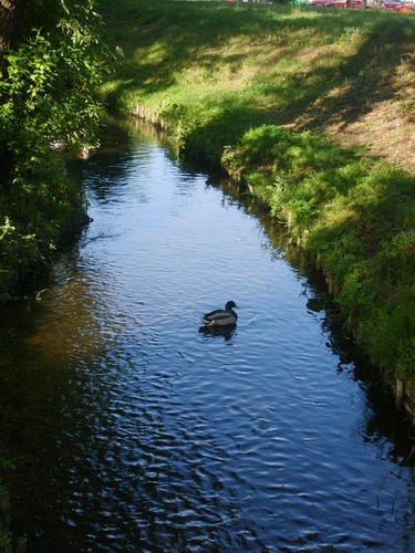 Wpis totenstille