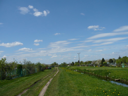 Horizon