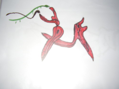 hoho
