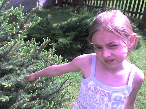 Wpis klauduskaa9