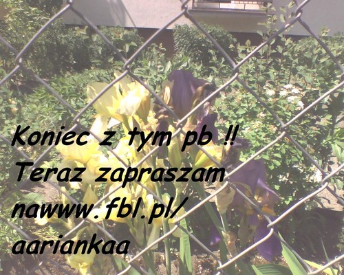 Wpis anna27