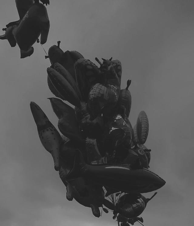 Wpis xbitterxpillx