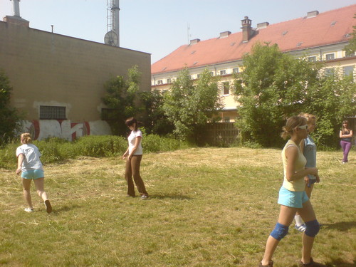 Wpis kruszynkobula