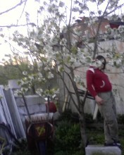 DuDuDeDuDuDe:)