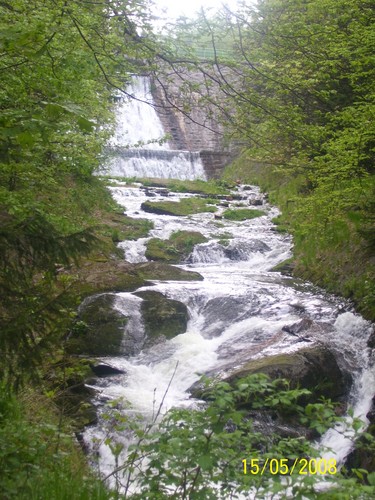 rzeka ycia