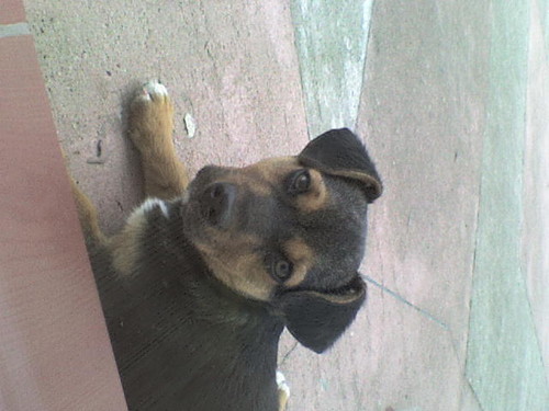 Wpis natalcialalcia