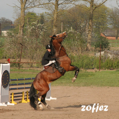Zawody Skibno 