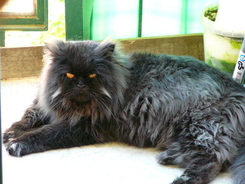 Wpis max2005