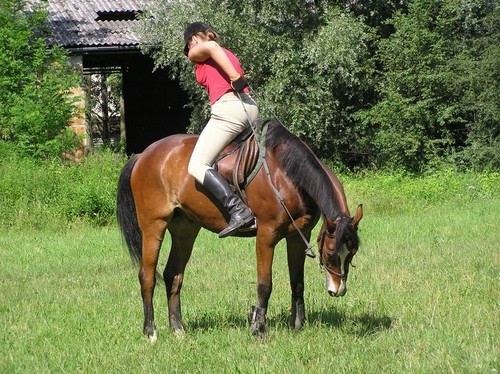 Wpis domisiek