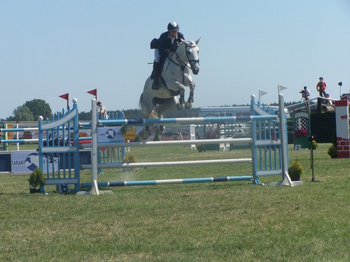 Olsza 2008