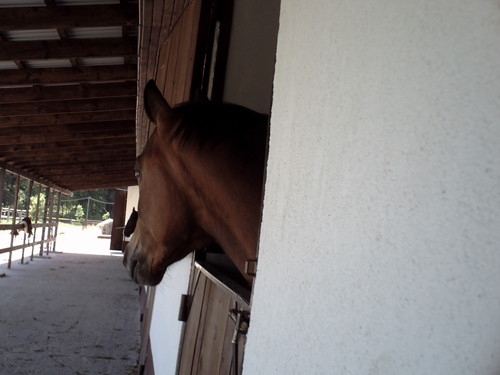 Wpis caballo15