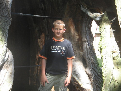 w Fromborku;d xD