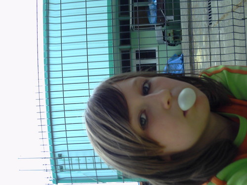 zawsze tam gdzie ty 