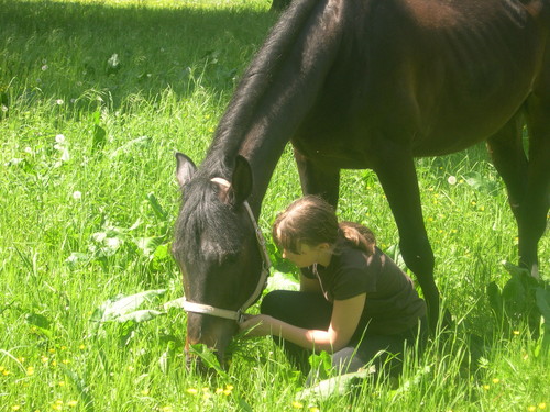 Mj ksize ;**