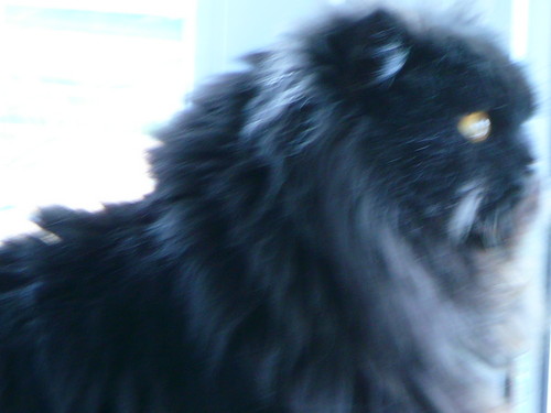 Wpis max2005