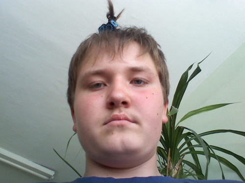 Zdicie xdd
