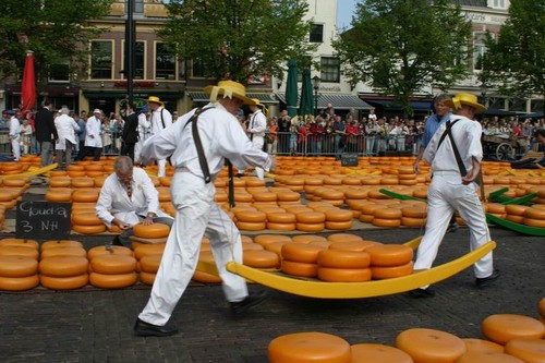 alkmaar cheese market