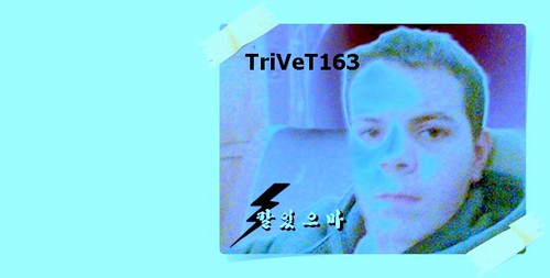 Wpis trivet163