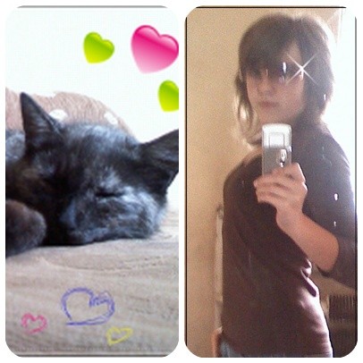 Kotek =**