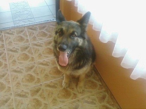 Nusia xD